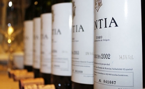 Cata vertical de Pintia