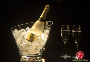 Freixenet presenta 'Vinos Entretenedores' en Enofusi&oacute;n
