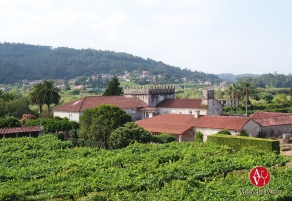 Nace el 'vino de granito' Pazo Torre Penelas