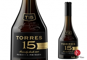 El brandy Torres 15 estrena imagen