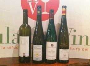 Cata de Riesling