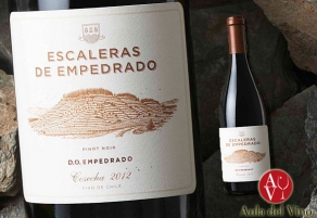 El vino de piedra pizarra de Bodegas Torres