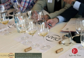 Borgo&ntilde;a invitada de honor en la Jornada DIAM