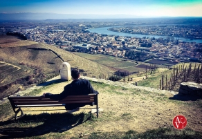 Valle del R&oacute;dano: un tesoro para descubrir