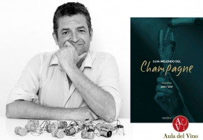 Publicada la Gu&iacute;a Melendo del Champagne 2016-2017