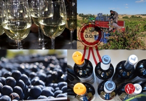 I Concurso Nacional de vino de Peque&ntilde;as DO&rsquo;s