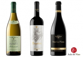 Tres joyas vin&iacute;colas de Torres para Navidad